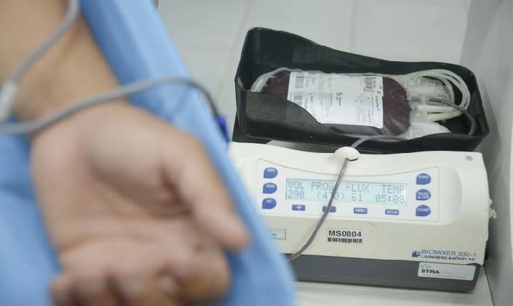 Crianças com hemofilia terão terapia menos invasiva pelo SUS