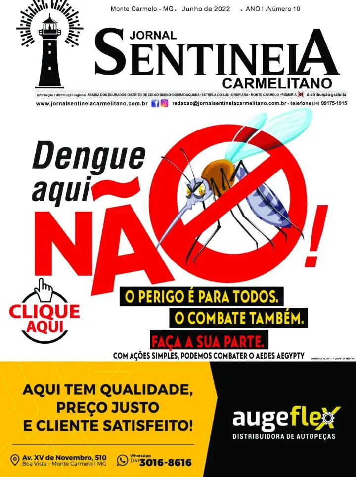 CASO DE DENGUE DISPARAM EM MINAS GERAIS