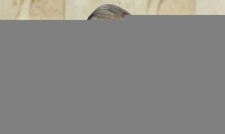 Conselho Superior do MPF analisará mensagens de Vorcaro sobre Gonet